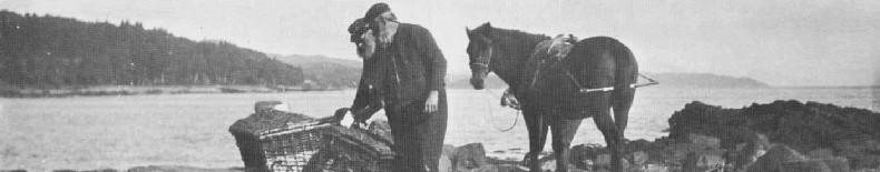 Men and horse